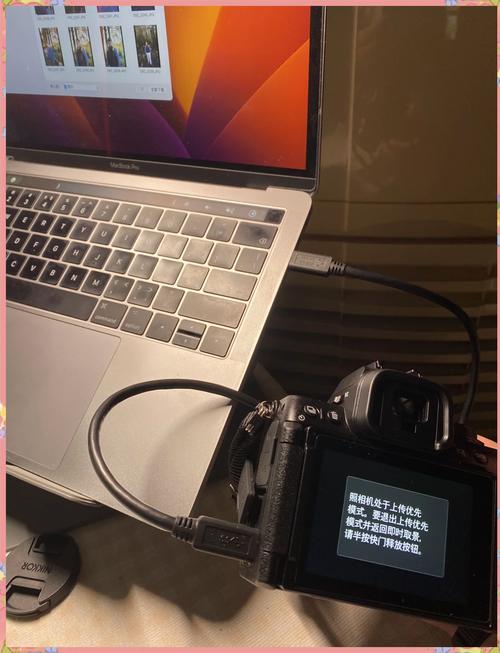 怎么把icloud的照片导入电脑