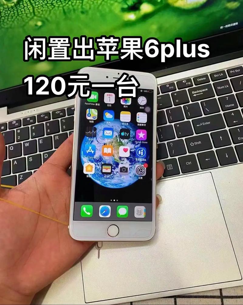 苹果6plus什么时候上市的