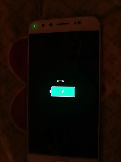 苹果手机开不了机充电也没反应