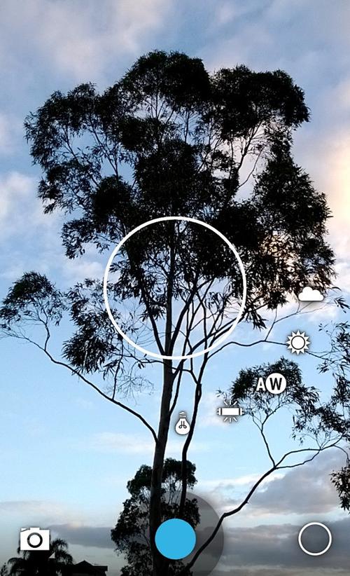 tumblr安卓客户端2025