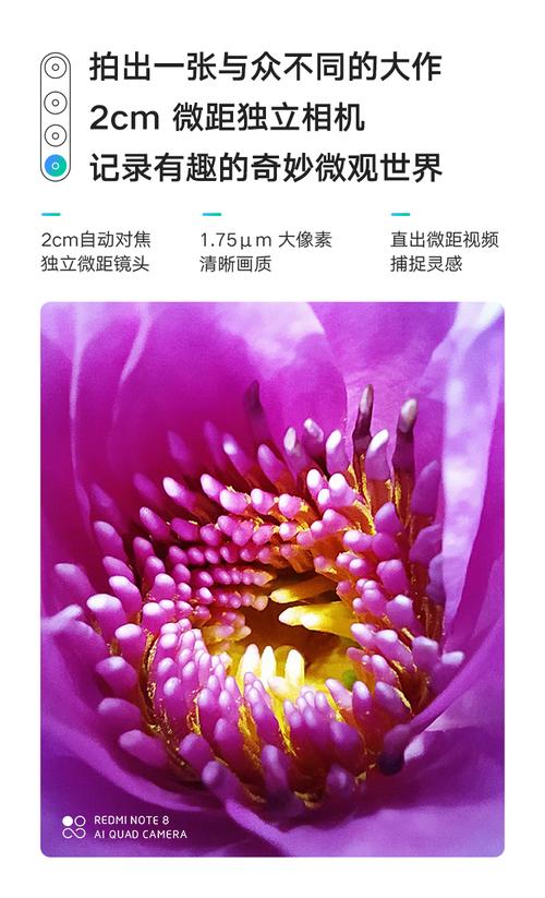 红米手机客服24小时电话号码