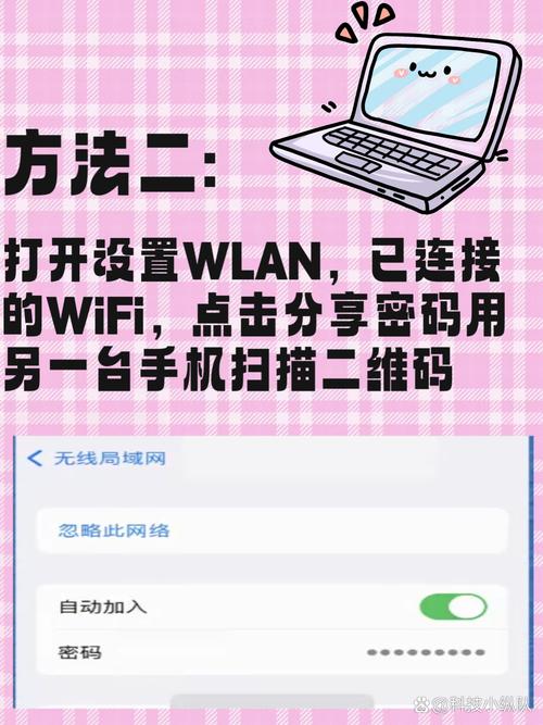 怎么从电脑上查看wifi密码