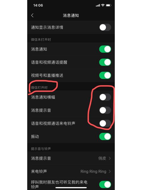 苹果手机微信发语音没有声音