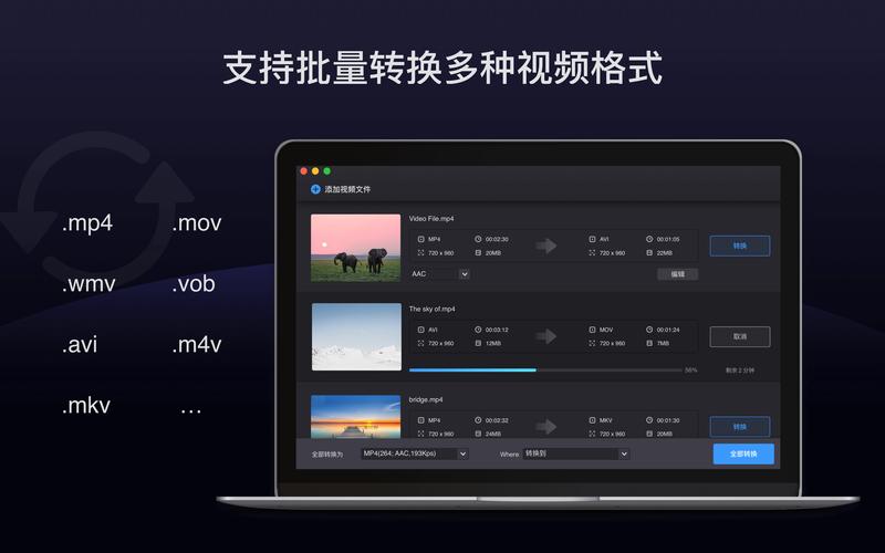 avplayer播放器安卓版