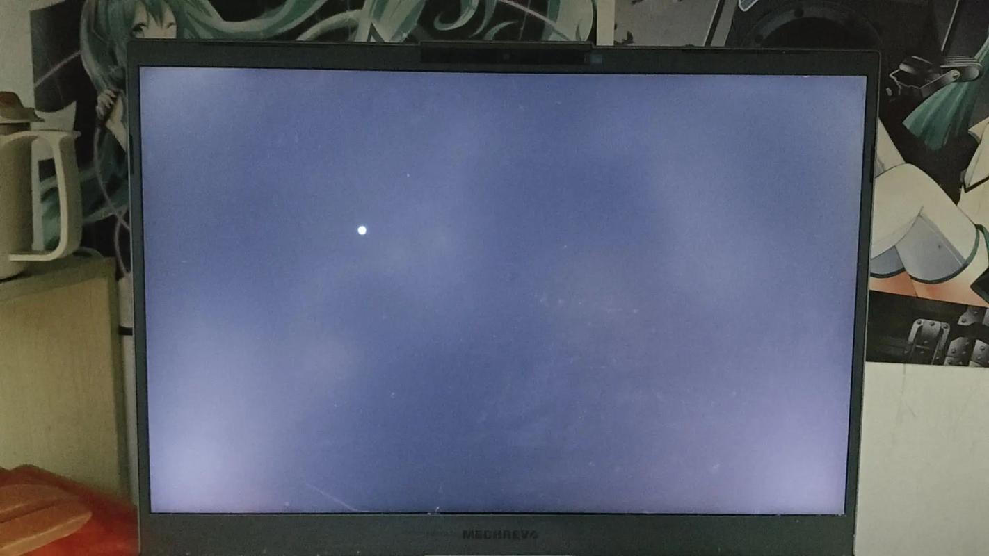 电脑打开后黑屏但是有鼠标能动