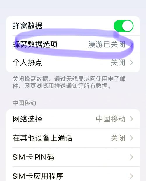 苹果手机打不了电话怎么回事