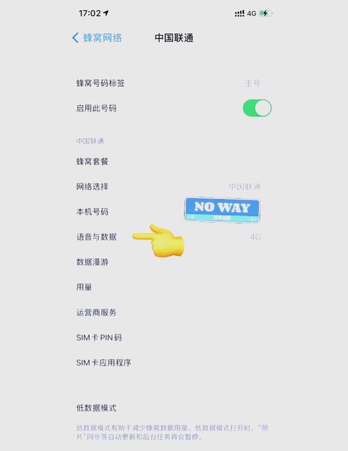 苹果手机打不了电话怎么回事