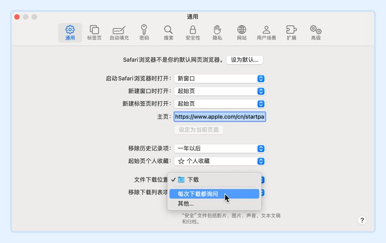 safari浏览器安卓版下载