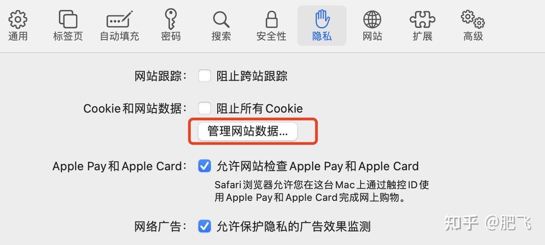 苹果电脑safari打不开