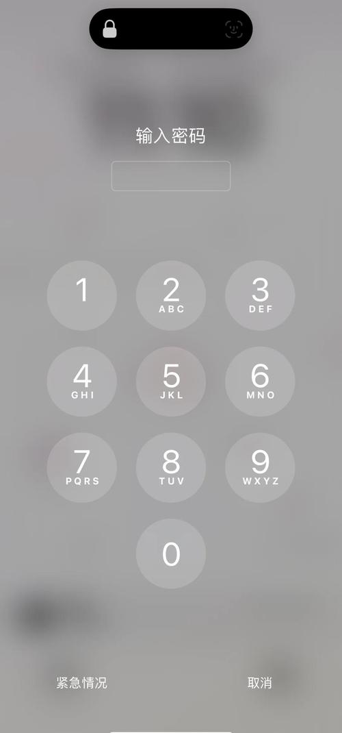 苹果手机锁了忘记密码怎么办