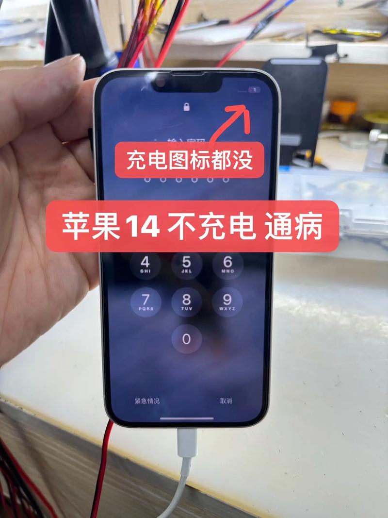 苹果手机充不进电是什么原因