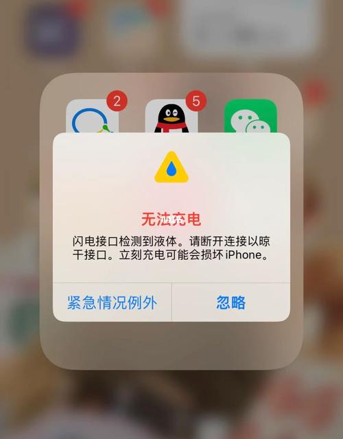 苹果手机充不进电是什么原因