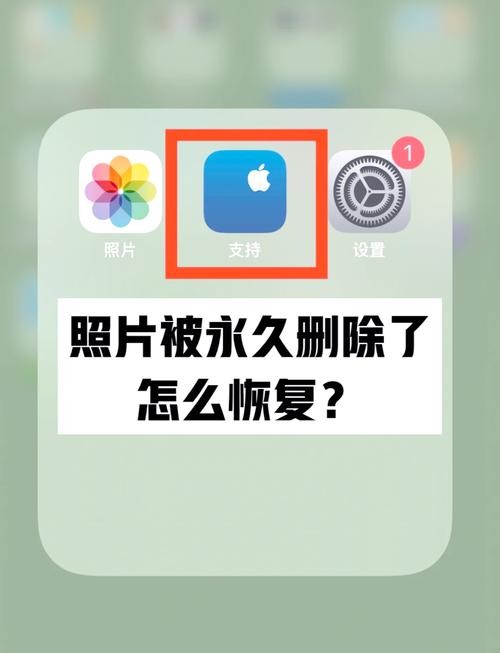 苹果手机联系人误删怎么恢复