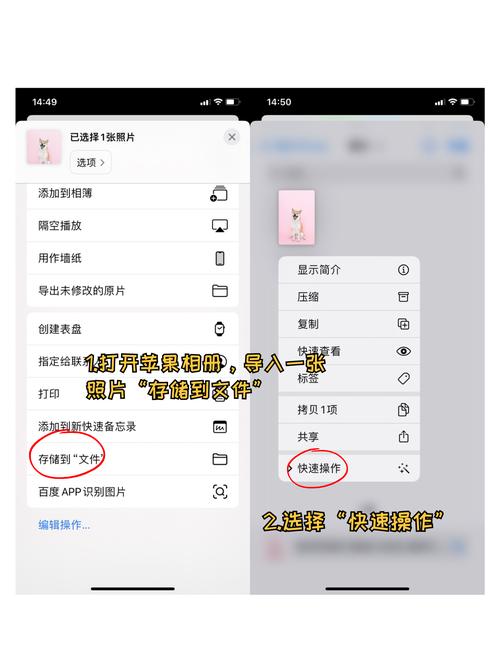安卓手机的照片在哪个文件夹