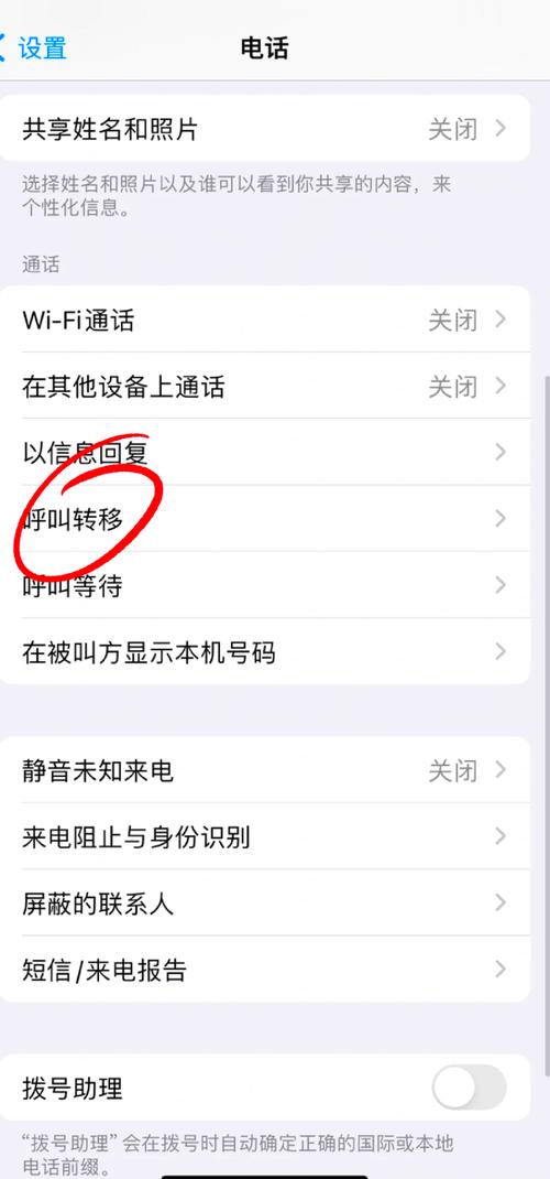苹果手机来电转接怎么设置