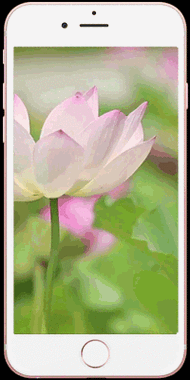 安卓livephoto锁屏