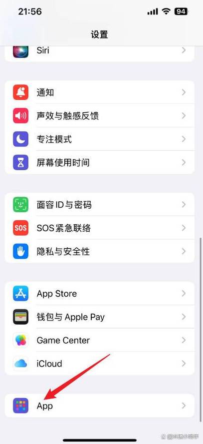 苹果手机粘贴不了怎么回事