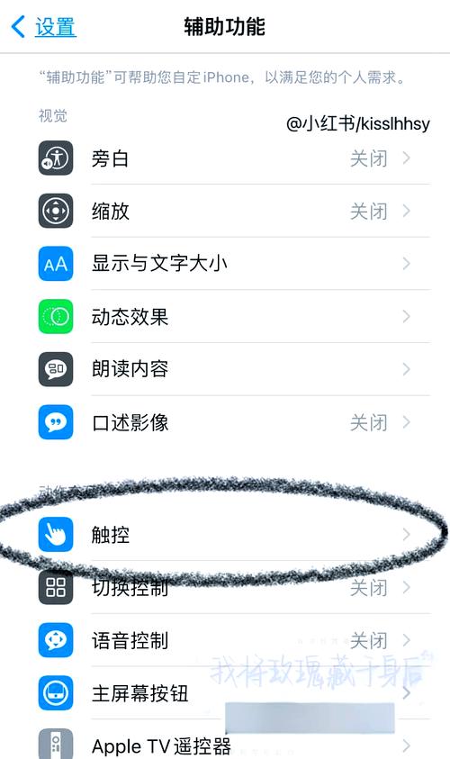 苹果中间那个圆点怎么设置
