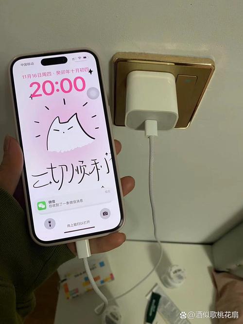 苹果手机充不进去电怎么回事