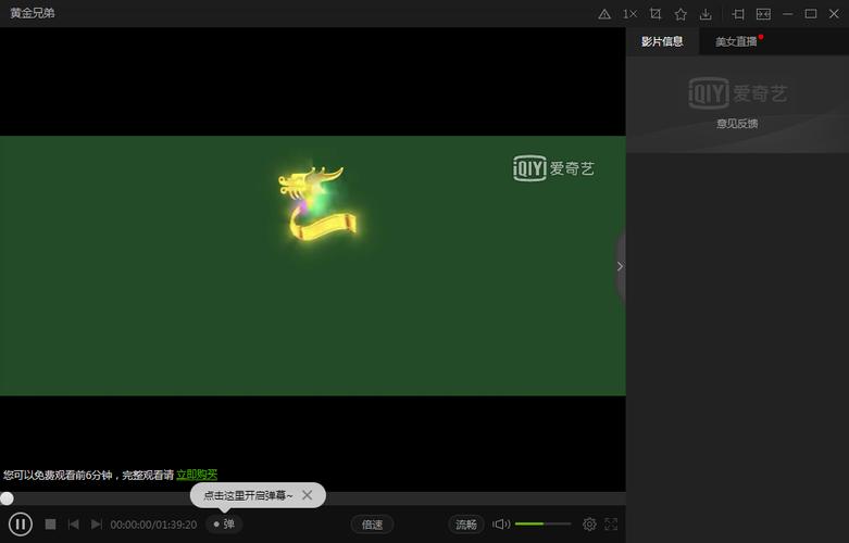 爱奇艺播放器官方下载电脑版