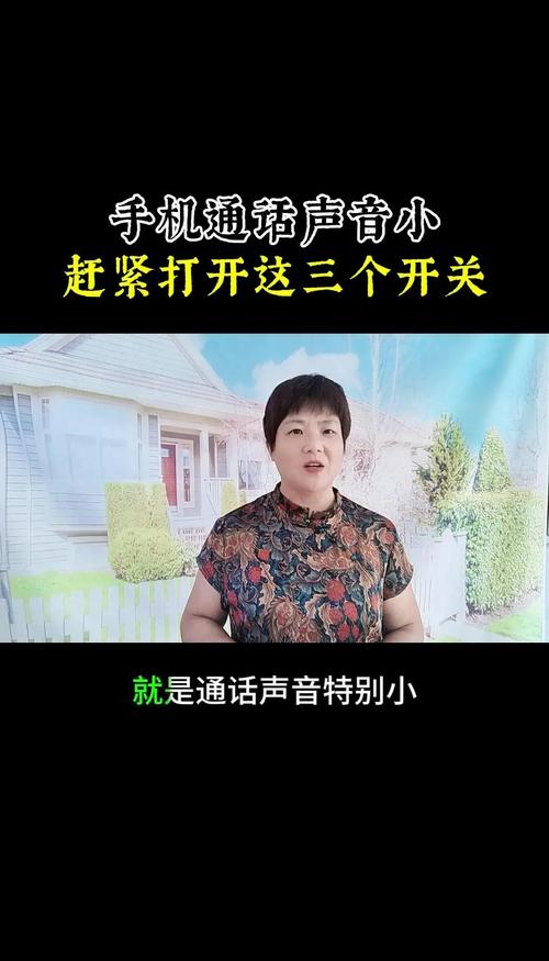 苹果手机话筒声音小怎么办