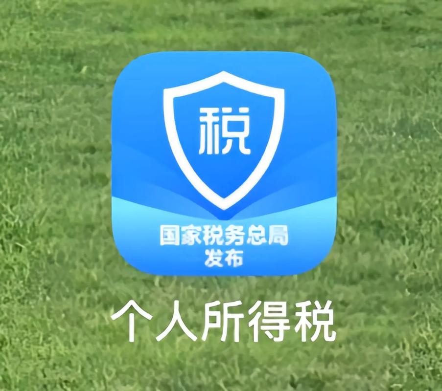 手机个人所得税app下载