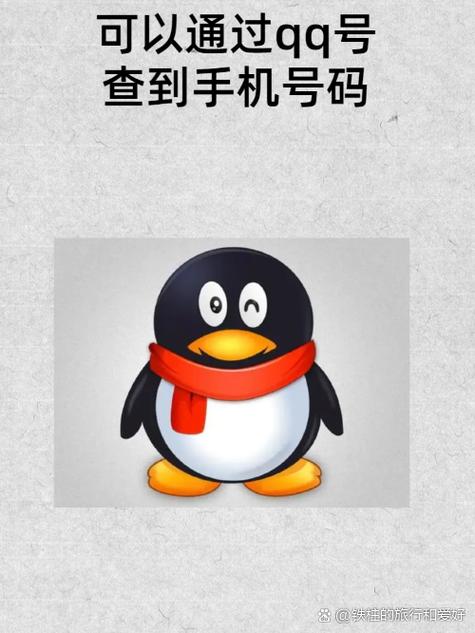 手机号绑定的qq号怎么查