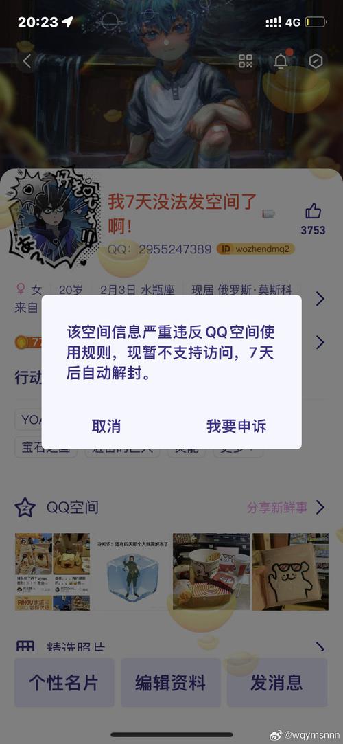 手机qq文件打不开怎么办
