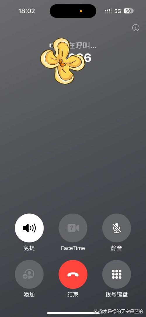苹果手机为什么打不出电话