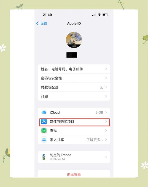 苹果手机怎么下载先锋影音