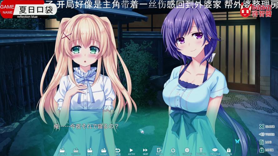 口袋少女安卓汉化版apk