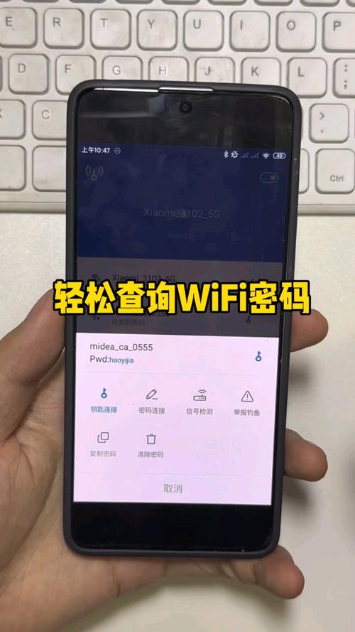 手机如何显示wifi密码