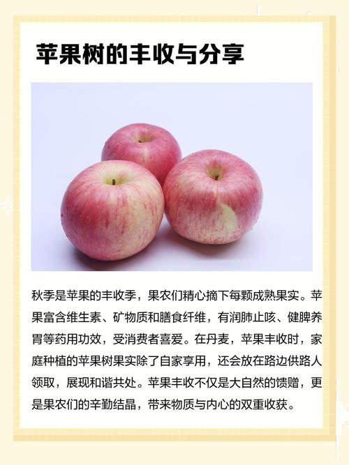 树上有苹果用in还是on