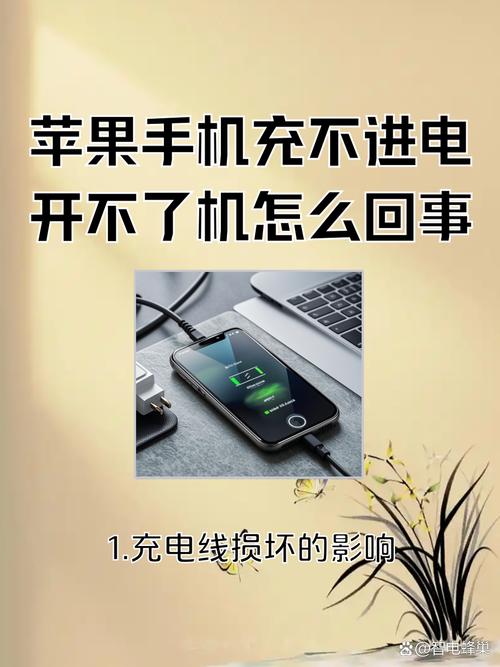 苹果6s充不上电怎么回事