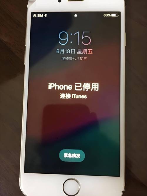 苹果手机访问限制密码忘了