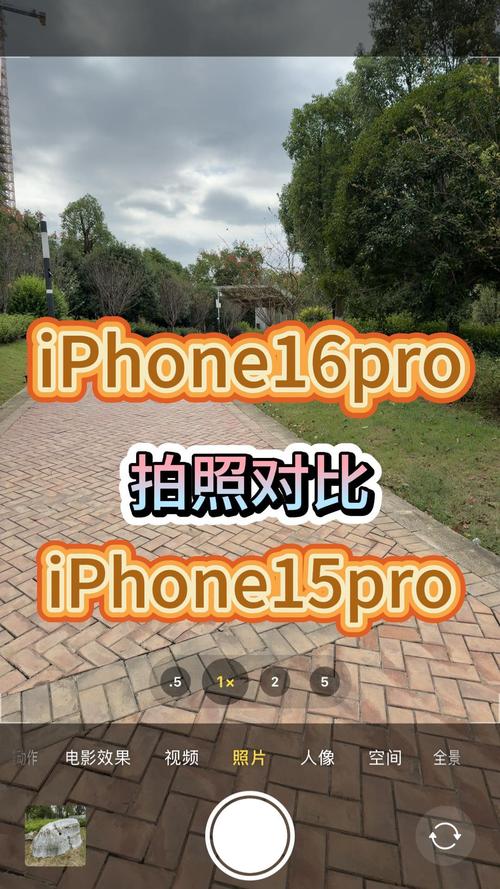 为什么苹果手机拍照是反的