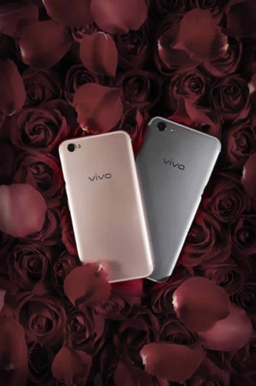 vivox9plus手机
