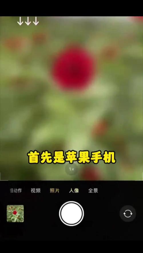 苹果手机拍照模糊怎么回事