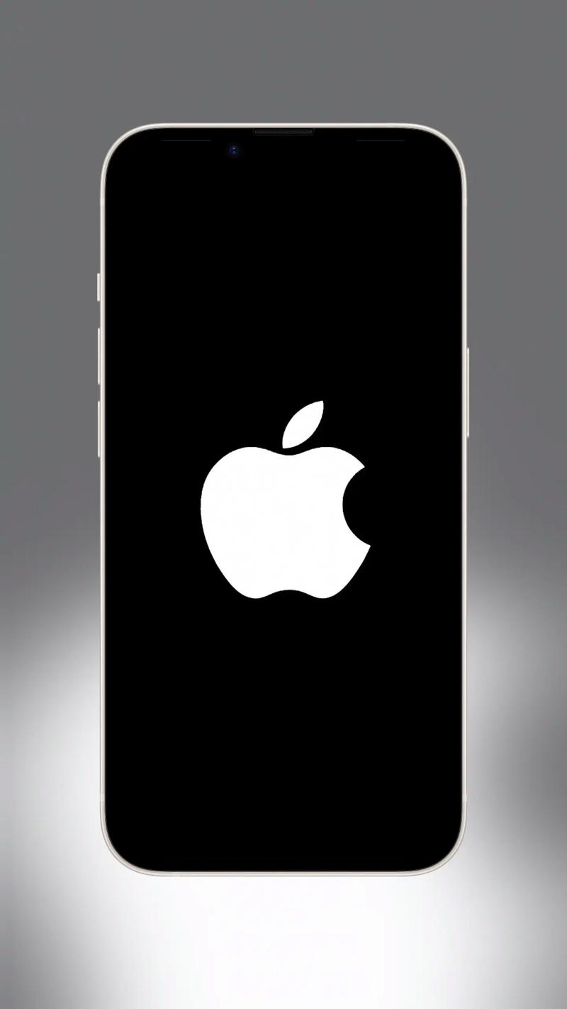 苹果手机一直显示苹果标志