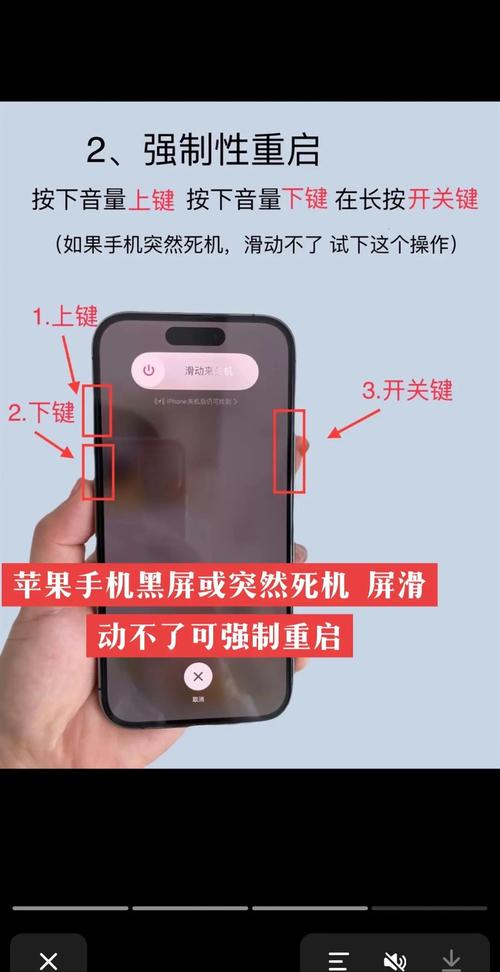 苹果6plus黑屏怎么办