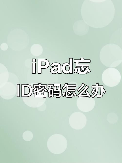 苹果笔记本密码忘了怎么办