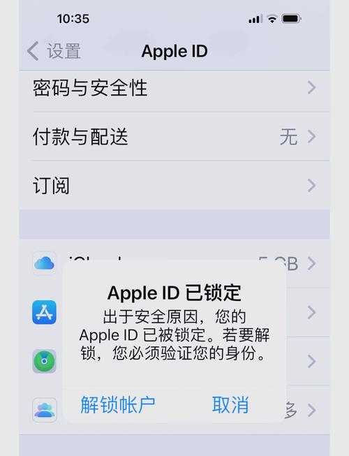 苹果id被别人锁了怎么办