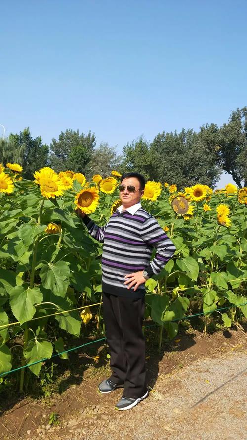 大邱庄钢铁网铁哥们手机版