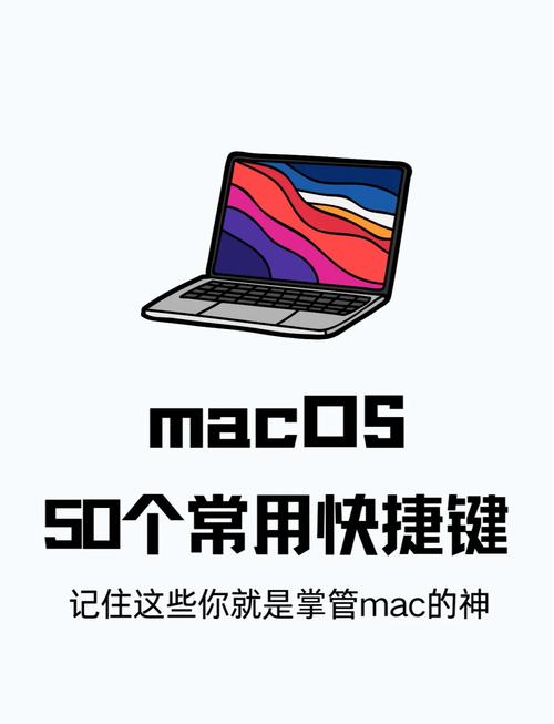 苹果笔记本ctrl键在哪