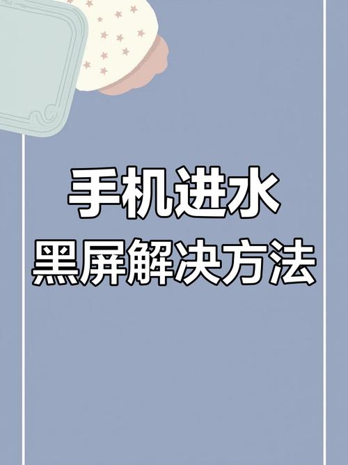 手机进水了屏幕失灵怎么办