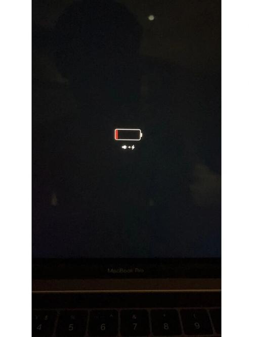 苹果没电关机后充电没反应