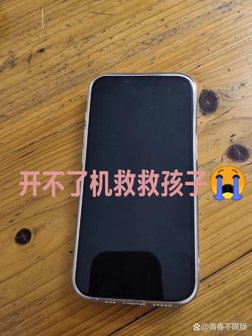 手机充电开不了机怎么回事