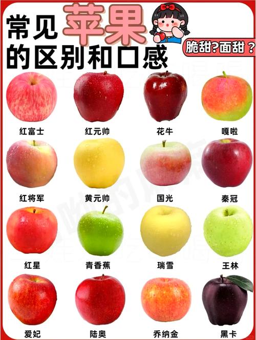 iphone为什么叫苹果