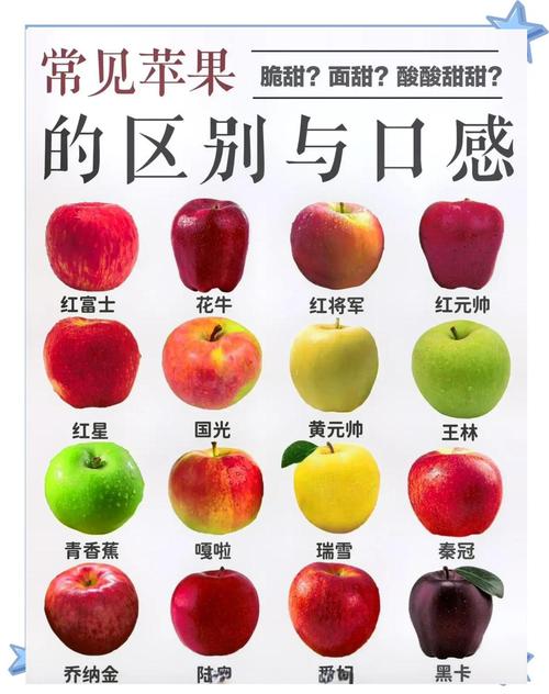 苹果为什么叫iphone