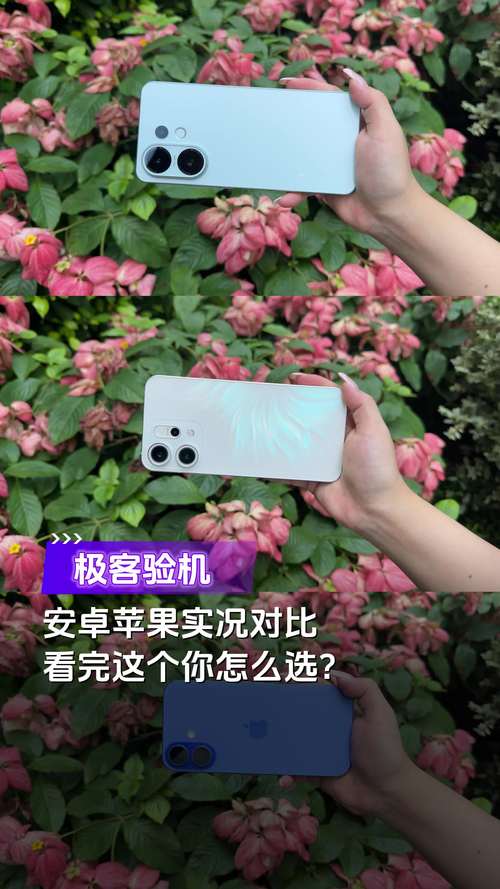 安卓手机好还是苹果手机好